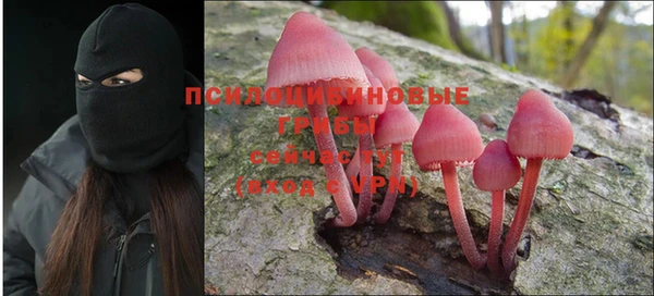 MDMA Краснослободск