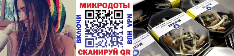 Псилоцибиновые грибы Psilocybe  Купить  Абаза 